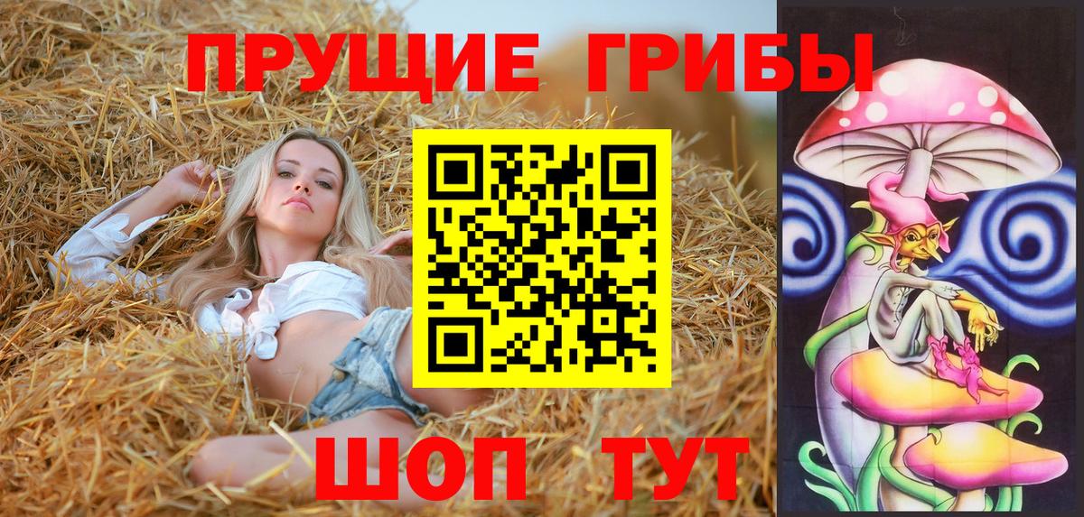 Чапаевск  Псилоцибиновые грибы MAGIC MUSHROOMS  Вход с VPN 
