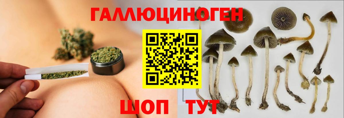 Псилоцибиновые грибы мицелий Чапаевск
